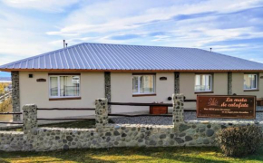 La mata de calafate